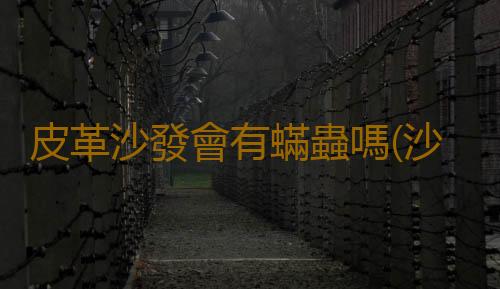 皮革沙發會有蟎蟲嗎(沙發髒了不用拆不用洗,這樣做比洗還幹淨)