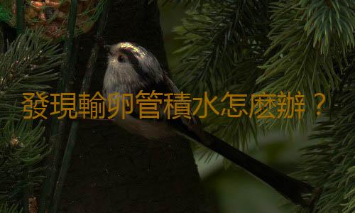 發現輸卵管積水怎麽辦?